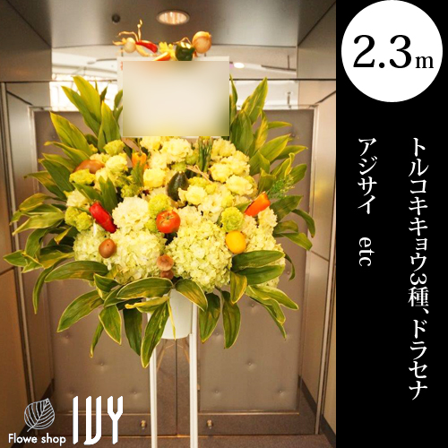 配達回収無料 ベジタブルスタンド花 トルコキキョウ3種 ドラセナ アジサイ他 新宿 花屋 Flowershopivy