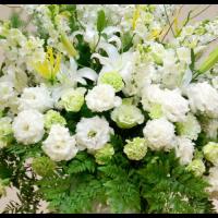 配達無料 大きめアレンジメント ストック 白ユリ トルコキキョウ ウンリュウ カーネーション ルテア他 新宿 花屋 Flowershopivy
