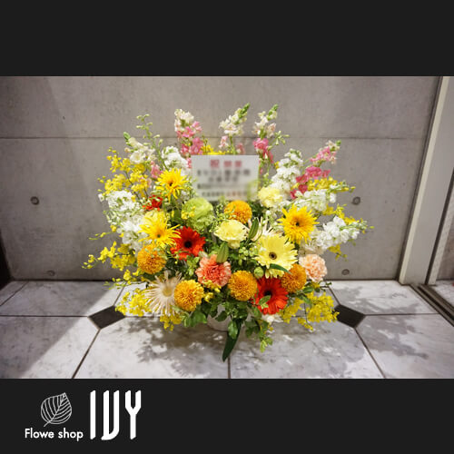 【花事例363】新宿区四谷 EVOL.整骨院様の開業祝いにお届けした花